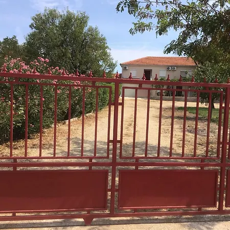 Dan's Biograd Na Moru