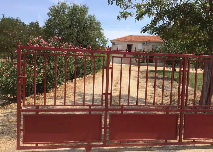 Dan's Biograd Na Moru